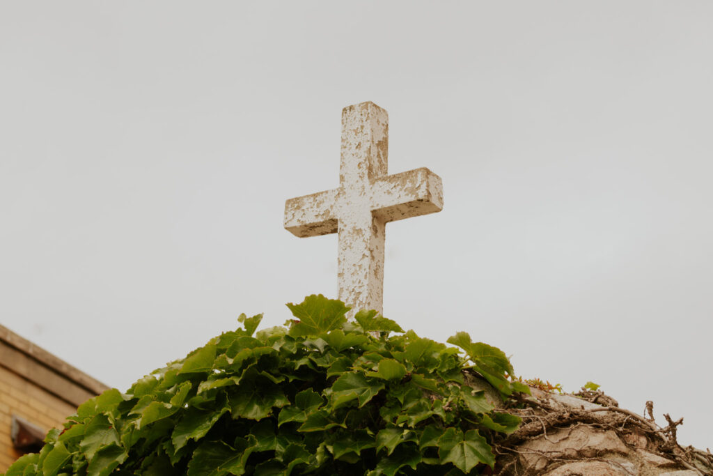 Rain Forest Falls: Exploring the Nature of God